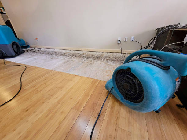 Professional Structural Drying technician working in Moose Lake, MN